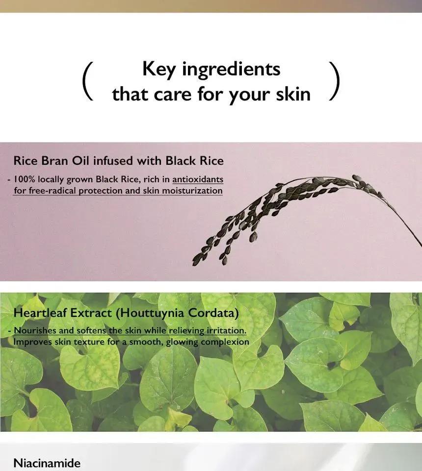 Black Rice Pure Mineral Relief Daily Sunscreen SPF 50+ | Broad Spectrum UVA/UVB Protection for Sensitive Skin | Hydrating, Non-Greasy, & Lightweight Formula